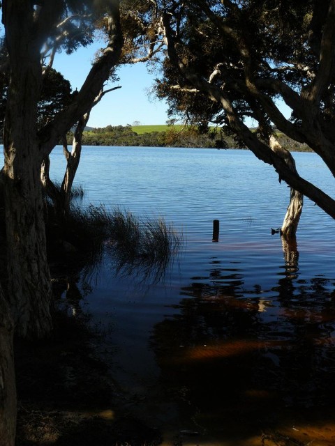 20080722 - Bream Fishing 2